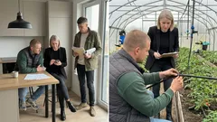 Granty na sady i szklarnie w Ukrainie wracają 2 lutego 2026 r. – progi, limity i warunki, które mogą przesądzić o wniosku